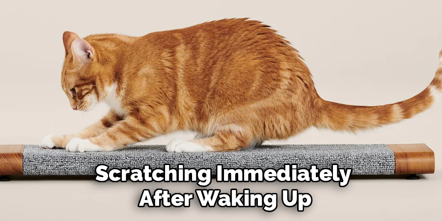 Scratching Immediately 
After Waking Up