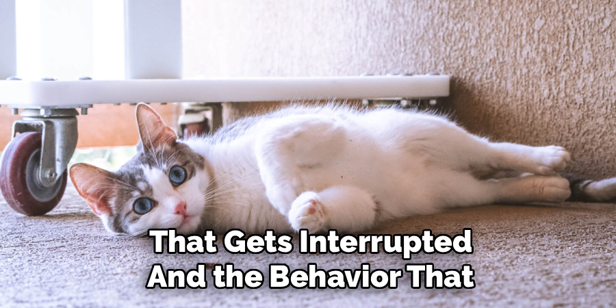 That Gets Interrupted 
And the Behavior That 