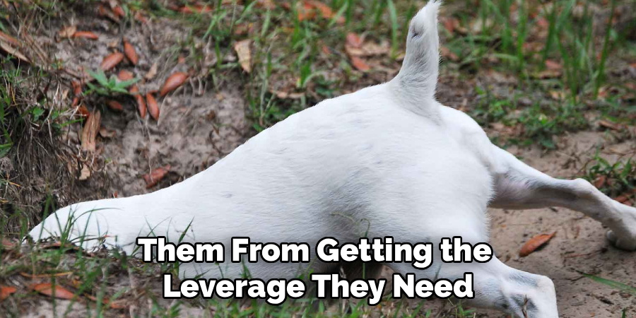 Them From Getting the Leverage They Need