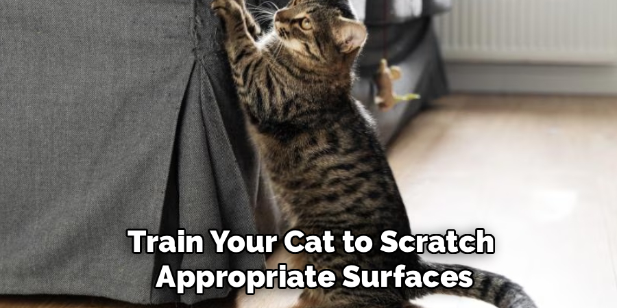 Train Your Cat to Scratch 
Appropriate Surfaces