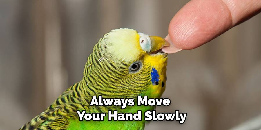 Always Move 
Your Hand Slowly