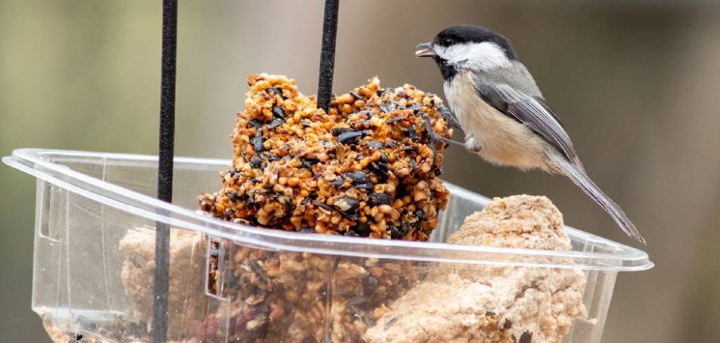How to Make Homemade Bird Food
