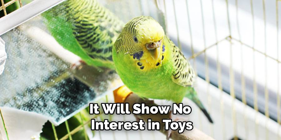 It Will Show No 
Interest in Toys