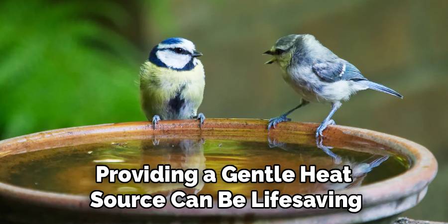 Providing a Gentle Heat 
Source Can Be Lifesaving