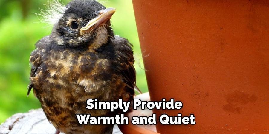 Simply Provide 
Warmth and Quiet