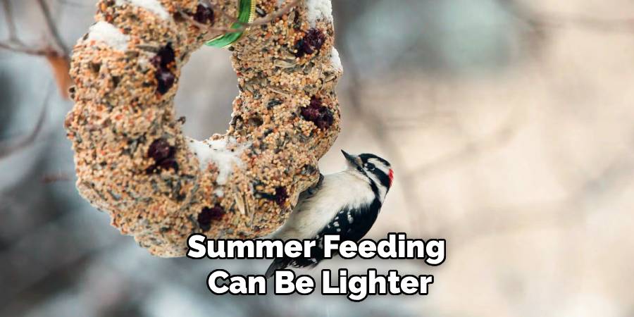 Summer Feeding 
Can Be Lighter